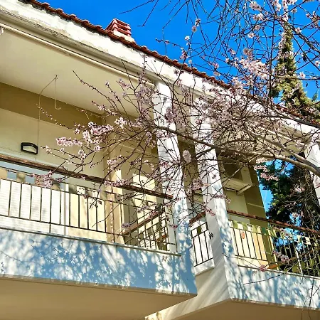 度假居 Nikiti Beach Houses *